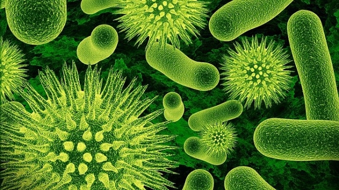 В Румунії зареєстрували перший випадок зараження вірусом Зіка