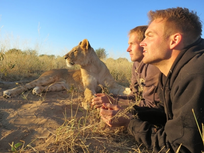 Як я жив з левами в Ботсвані