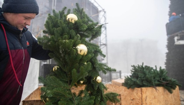 В Києві почали прикрашати новорічну ялинку незламності