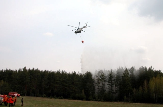 В Чернобыльской зоне горит лес