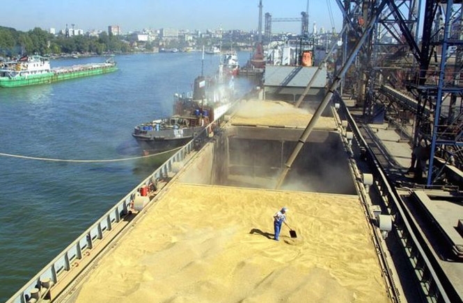 Української пшениці на 1 млрд доларів вкрала росія, - Bloomberg