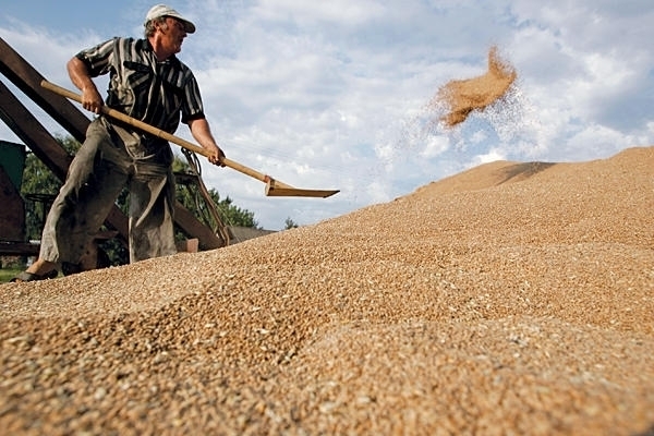 Україна експортує менше зерна, ніж очікувалося