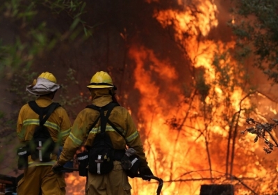 У Каліфорнії палають ліси: у штаті оголосили надзвичайний стан (відео)