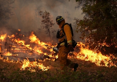Кількість загиблих внаслідок пожеж в Каліфорнії зросла до 76 людей
