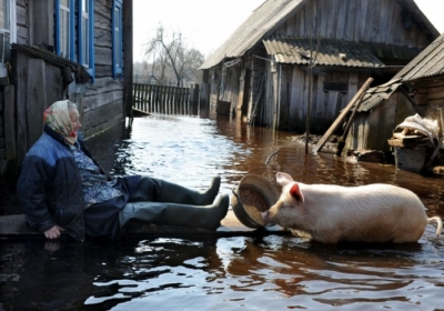 Білорусь у воді: страждають люди, свині і коти