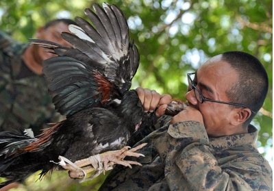 Морські піхотинці США вчаться виживати у джунглях Таїланду