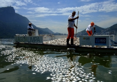 У лагуні Ріо-де-Жанейро загинула уся риба