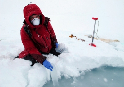 Льодовики Арктики рекордно зменшилися у серпні