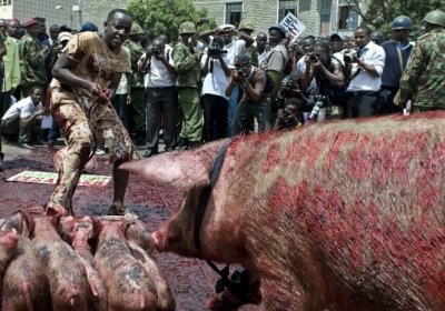 У Кенії протестувальники випустили перед парламентом свиней