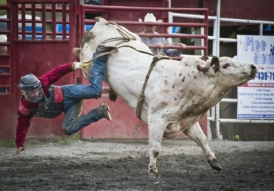 Дикий-дикий Захід: американські ковбої проти скажених биків