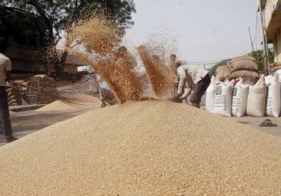 Міністерство аграрної політики зняло обмеження на експорт зерна