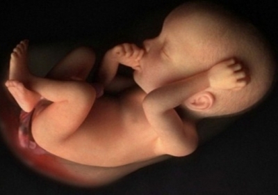 Вчені розшифрували геном ембріона