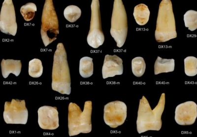 В Китае нашли зубы, свидетельствующие о гораздо раньшей миграции Homo sapiens чем считалось до сих пор