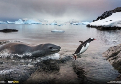 Антарктика. Фото: © Paul Souders