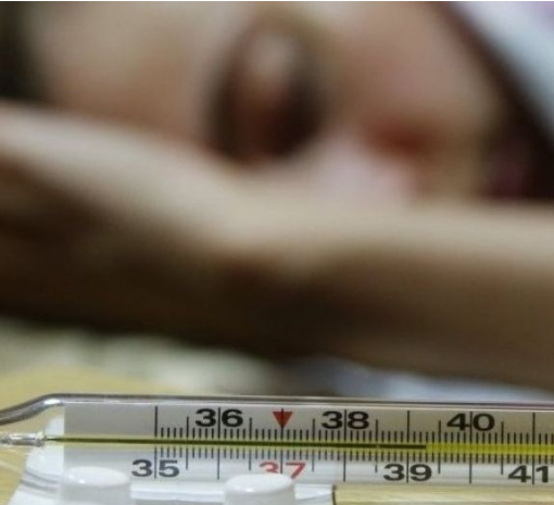 В Монголии от бубонной чумы умер подросток