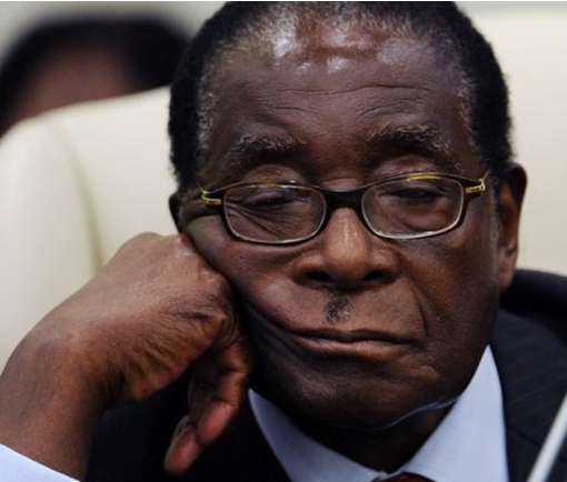 Правящая партия Зимбабве выгнала президента Мугабе