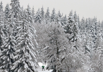 В Альпах з висоти 100 метрів розбився снігохід із російськими туристами