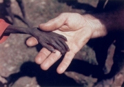 Понад 20 млн людей опинилися під загрозою смерті від голоду