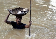 Під час повені в Каттаке, Індія, в 2011 році, місцевий житель врятував безліч бездомних кішок, виносячи їх з місць затоплення в кошику на власній голові.