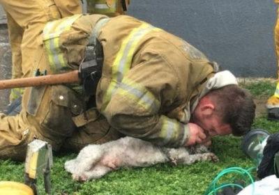 В США пожежник повернув пса до життя штучним диханням 
