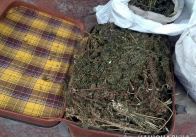 У жителя Донецької області знайшли валізу конопель