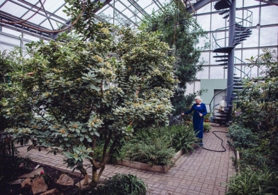 4 марта 2015 Фото: Макс Авдеев / PortСотрудники Ботанического сада Донецка продолжают ходить на работу, хотя им не платят зарплату, а рабочий день сократили до двух часов.