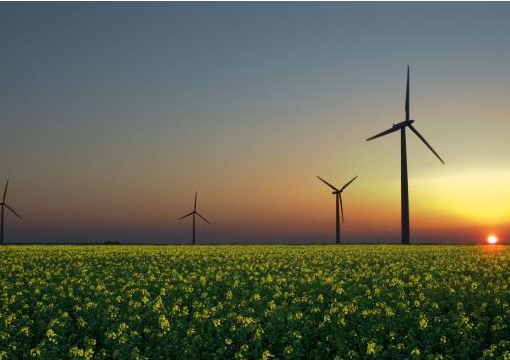 Три украинских города планируют полностью перейти на возобновляемую энергетику