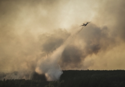 Спасатели остановили распространение пожара в Чернобыльской зоне, - фото