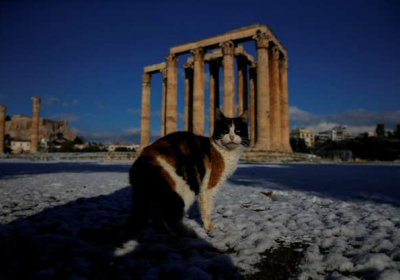 В Греции из-за непогоды закрыты школы, в Афинах выпал снег