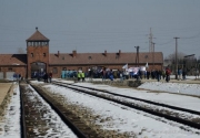 Освенцим освобождали в первую очередь украинцы, - МИД Польши