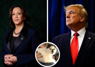 Геополітика: бувай, Байден. Президентство Гарріс визначатиметься Україною та іншими зовнішніми кризами. Частина 2 – Ендрю Таннер