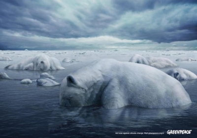 Greenpeace: тануть ведмеді-айсберги.