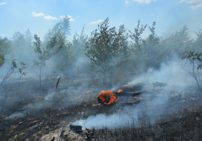 На Днепропетровщине пожарные потушили масштабный пожар на полигоне