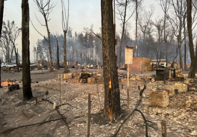 На Харківщині через лісову пожежу згоріло ціле селище, загинули чотири людини