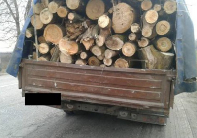 На Киевщине предотвратили незаконной вырубке лесов