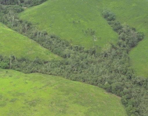 Бразилия открыла доступ к огромным территориям для добычи полезных ископаемых