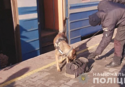 В Одесской области из-за военного положения усилили охрану собаками