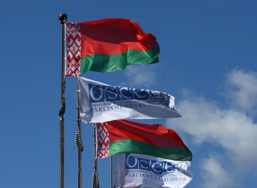 ОБСЕ приняла резолюцию о восстановлении целостности Украины