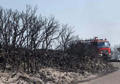У Греції вогонь знищив 1500 гектарів лісу