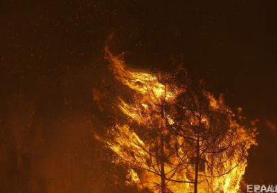 Пожар полностью уничтожил деревню на Донбассе, - Жебривский (ФОТО)