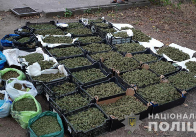 У Запорізькій області вилучили партію марихуани на суму понад 20 млн гривень