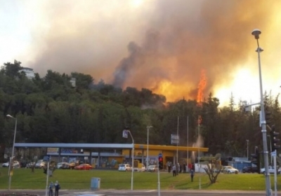 Порошенко поручил отправить украинские самолеты для тушения пожаров в Хайфе