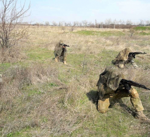 Нідерланди відправлять інструкторів для навчання українських бійців у Німеччині