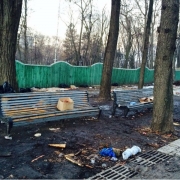 Антимайдан заплатил за уборку Мариинского парка