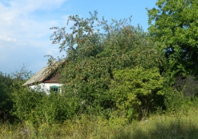 Яблучний рай закинутих селищ Донбасу (фото)