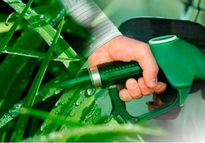 Италия интересуется производством биоэтанола в Украине