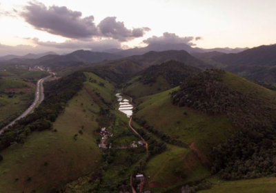 Тропические леса Бразилии начали выделять больше углекислого газа, чем они поглощают