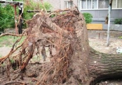 Из-за урагана в Запорожской области погиб человек
