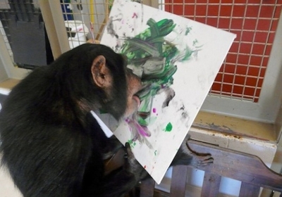 У США за звання найкращого художника змагалися шимпанзе