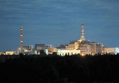 В Чернобыле высадили деревья, способные поглощать радионуклиды